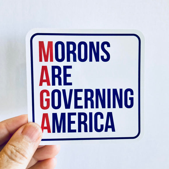 morons are governing america sticker